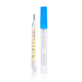 Mercury Glass Thermometer